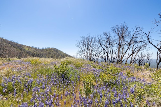 39 Buckingham Mountain Rd, Mariposa, CA 95338 - photo 18