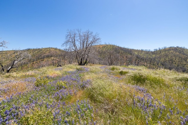 39 Buckingham Mountain Rd, Mariposa, CA 95338 - photo 19