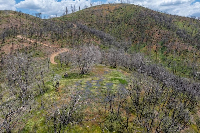 39 Buckingham Mountain Rd, Mariposa, CA 95338 - photo 45