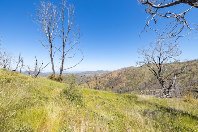 39 Buckingham Mountain Rd, Mariposa, CA 95338 - photo 52