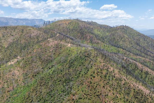 39 Buckingham Mountain Rd, Mariposa, CA 95338 - photo 35