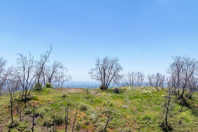 39 Buckingham Mountain Rd, Mariposa, CA 95338 - photo 40