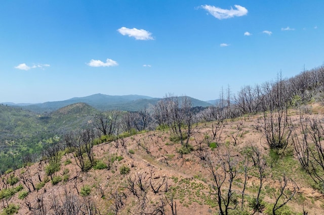 39 Buckingham Mountain Rd, Mariposa, CA 95338 - photo 44