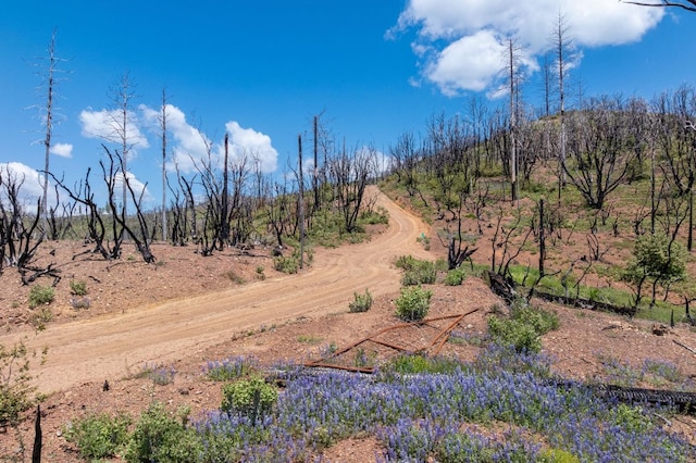 39 Buckingham Mountain Rd, Mariposa, CA 95338 - photo 46