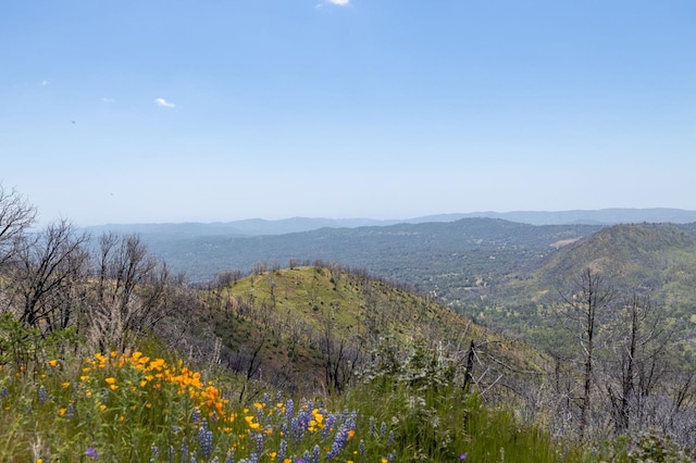 39 Buckingham Mountain Rd, Mariposa, CA 95338 - photo 32