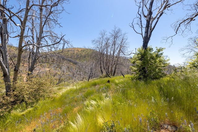 39 Buckingham Mountain Rd, Mariposa, CA 95338 - photo 65
