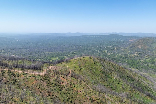 39 Buckingham Mountain Rd, Mariposa, CA 95338 - photo 36