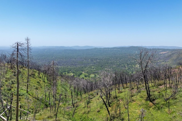 39 Buckingham Mountain Rd, Mariposa, CA 95338 - photo 33
