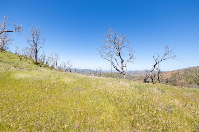 39 Buckingham Mountain Rd, Mariposa, CA 95338 - photo 51