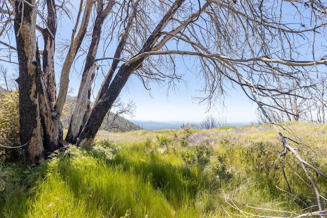 39 Buckingham Mountain Rd, Mariposa, CA 95338 - photo 53