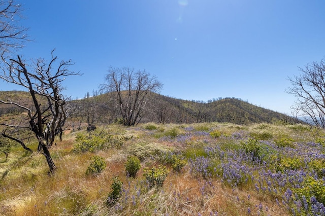 39 Buckingham Mountain Rd, Mariposa, CA 95338 - photo 17
