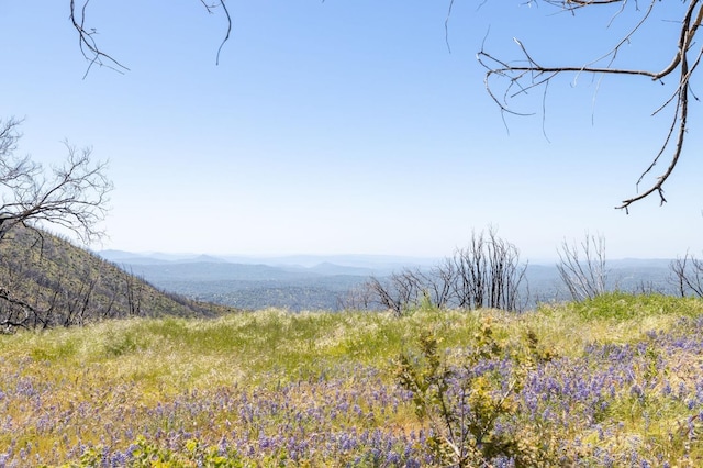 39 Buckingham Mountain Rd, Mariposa, CA 95338 - photo 16