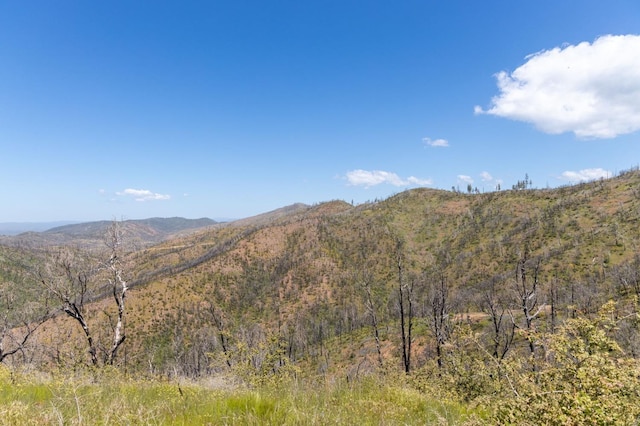 39 Buckingham Mountain Rd, Mariposa, CA 95338 - photo 60
