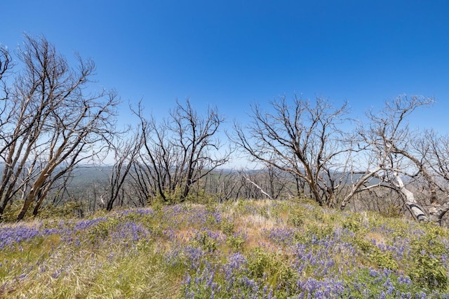 39 Buckingham Mountain Rd, Mariposa, CA 95338 - photo 20