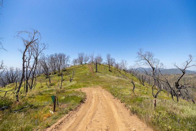 39 Buckingham Mountain Rd, Mariposa, CA 95338 - photo 10