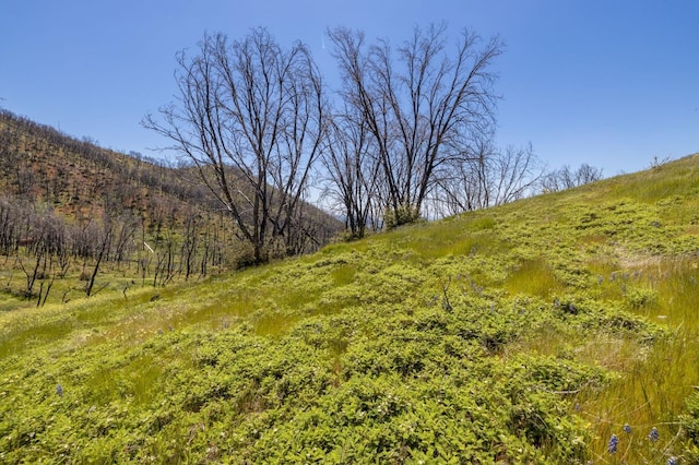 39 Buckingham Mountain Rd, Mariposa, CA 95338 - photo 66