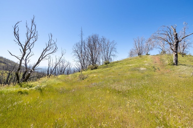 39 Buckingham Mountain Rd, Mariposa, CA 95338 - photo 50