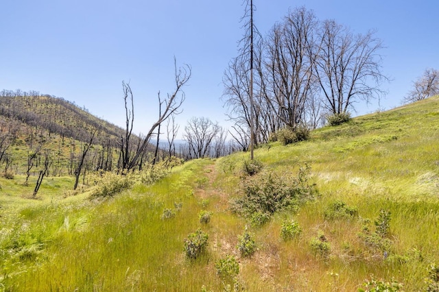 39 Buckingham Mountain Rd, Mariposa, CA 95338 - photo 67