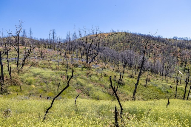39 Buckingham Mountain Rd, Mariposa, CA 95338 - photo 69