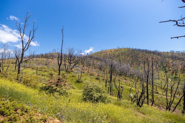 39 Buckingham Mountain Rd, Mariposa, CA 95338 - photo 72