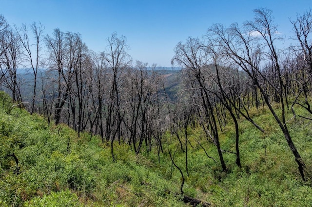 39 Buckingham Mountain Rd, Mariposa, CA 95338 - photo 42