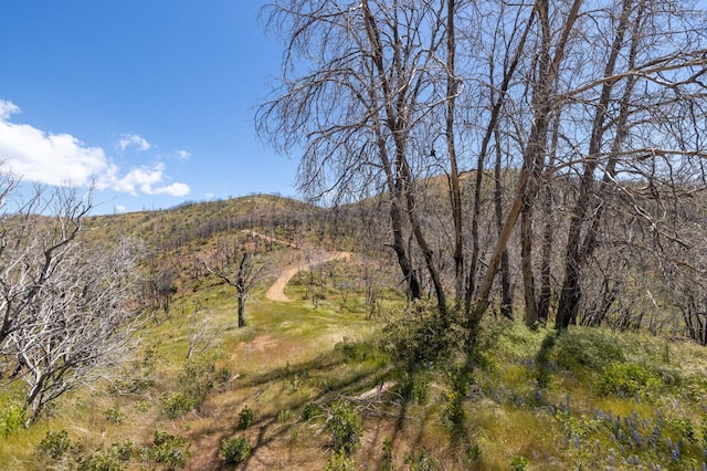 39 Buckingham Mountain Rd, Mariposa, CA 95338 - photo 62