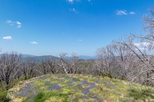 39 Buckingham Mountain Rd, Mariposa, CA 95338 - photo 6