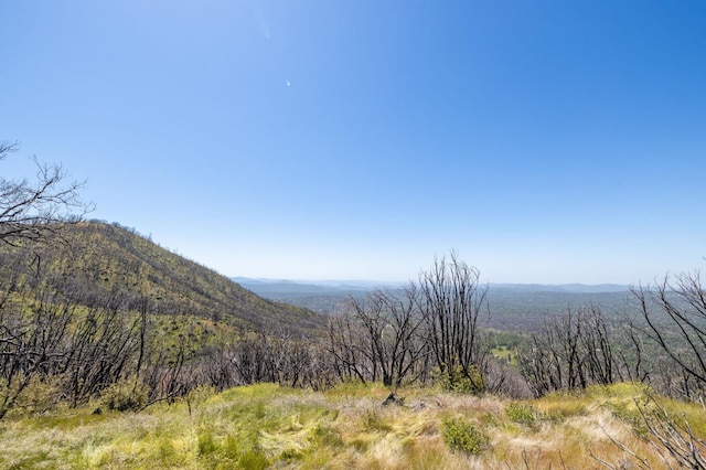 39 Buckingham Mountain Rd, Mariposa, CA 95338 - photo 54