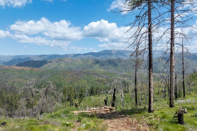 39 Buckingham Mountain Rd, Mariposa, CA 95338 - photo 48