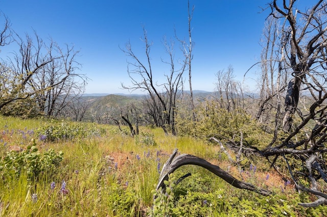 39 Buckingham Mountain Rd, Mariposa, CA 95338 - photo 57