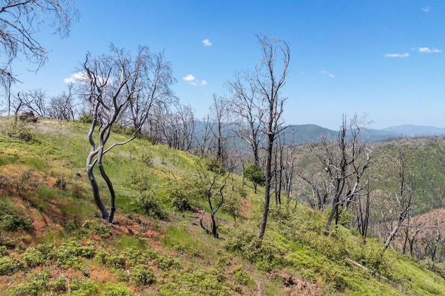 39 Buckingham Mountain Rd, Mariposa, CA 95338 - photo 37