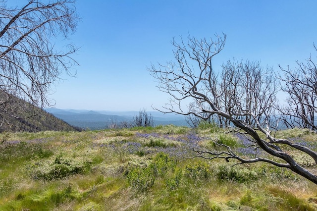 39 Buckingham Mountain Rd, Mariposa, CA 95338 - photo 7