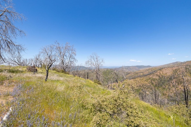39 Buckingham Mountain Rd, Mariposa, CA 95338 - photo 64