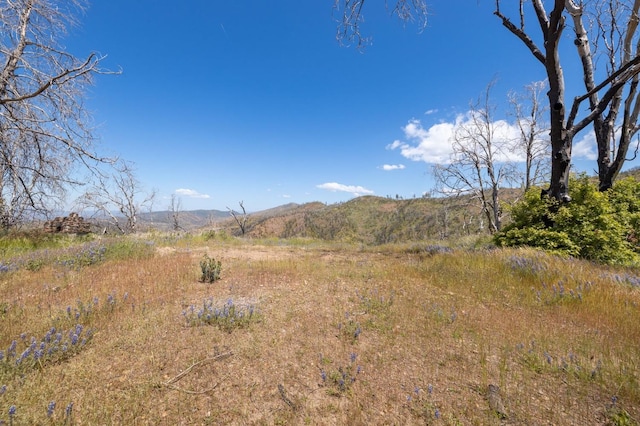 39 Buckingham Mountain Rd, Mariposa, CA 95338 - photo 63