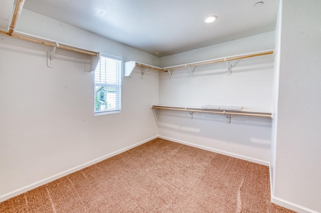 spacious closet with carpet flooring