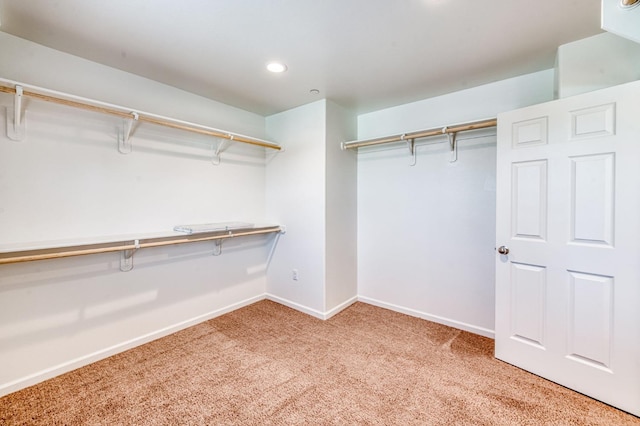 spacious closet featuring light colored carpet