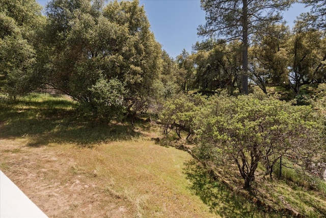 39976 Pierce Lake Dr, Oakhurst, CA 93644 - view of local wilderness
