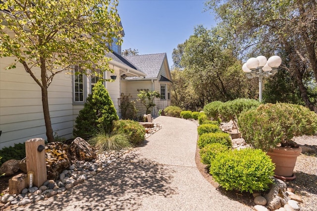 39976 Pierce Lake Dr, Oakhurst, CA 93644 - view of yard