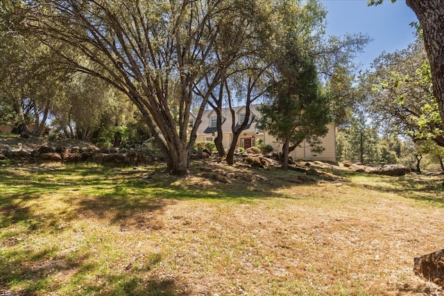 39976 Pierce Lake Dr, Oakhurst, CA 93644 - view of green lawn
