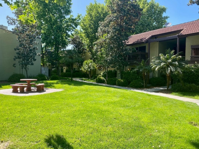 view of grassy yard