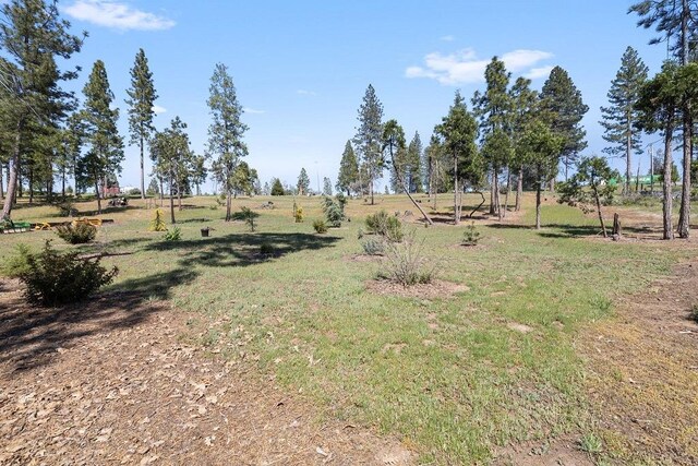 42640 Pinecone Ln, Auberry, CA 93602 - view of yard