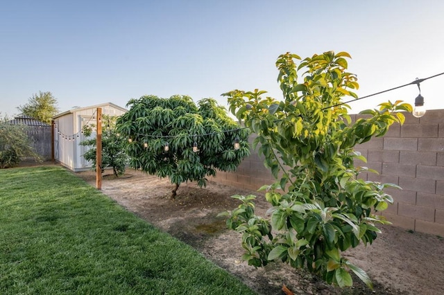 99 N Whittier Ave, Fresno, CA 93727 - view of yard with a storage shed and an outdoor structure