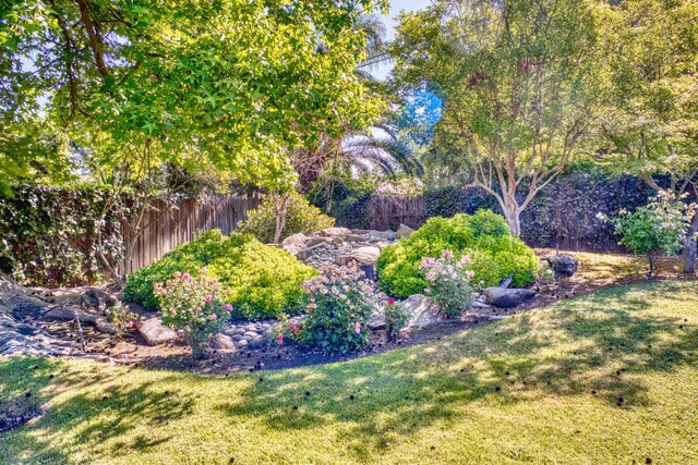 643 Park Ln, Madera, CA 93637 - view of yard