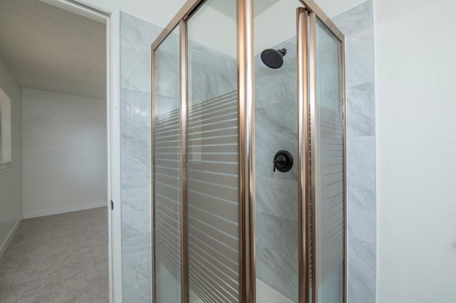full bathroom featuring a shower stall