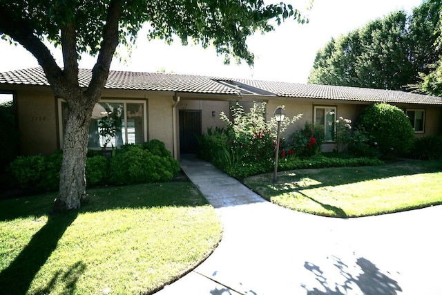1710 W Santa Ana Ave Unit 102, Fresno, CA 93705 - ranch-style home with stucco siding, a front lawn, and a tiled roof