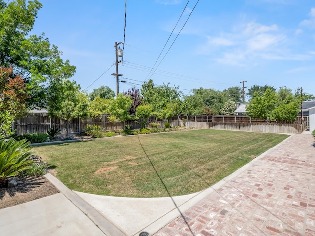 view of yard featuring a patio