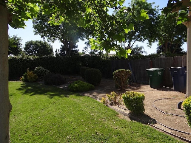 view of yard