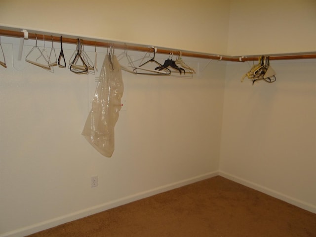 spacious closet featuring carpet flooring
