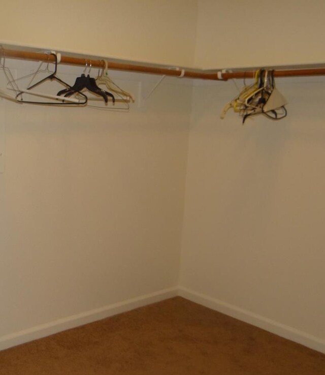 309 Pine Ct, Chowchilla, CA 93610 - spacious closet featuring carpet