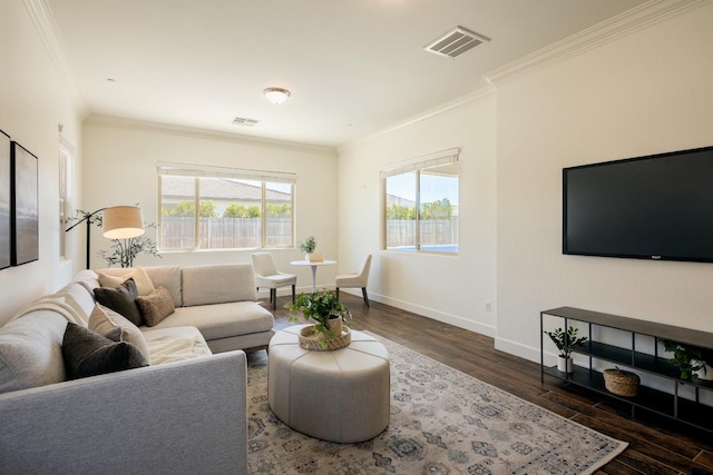 3636 Elberta Cir, Dinuba, CA 93618 - living room with ornamental molding, plenty of natural light, wood finished floors, and baseboards